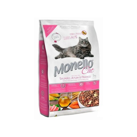 Monello gato adulto